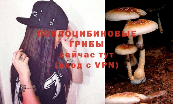 МДМА Белокуриха